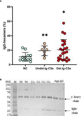 The Role of Alpha 2 Macroglobulin in IgG-Aggregation and Chronic Activation of the Complement System in Patients With Chronic Lymphocytic Leukemia